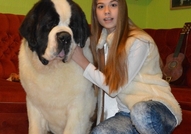 odgaivacnica Erossaints kennel prodaje stenad d...