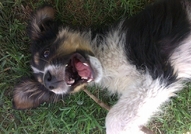 Подарява се Приятел :)