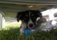 Подарява се Приятел :)