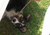 Подарява се Приятел :)