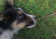 Подарява се Приятел :)