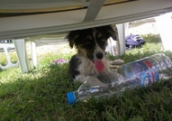 Подарява се Приятел :)