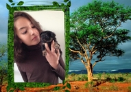 Продавам дългокосмести чихуахуа - момченца и момич...