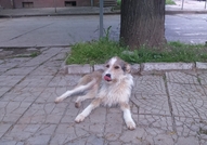 Мередит жадува за собствен дом!