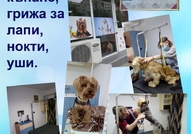 Фризьорски салон за домашни любимци BON CHERRY