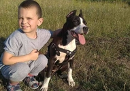 За истинските фенове за порода ! Майката и бащата ...