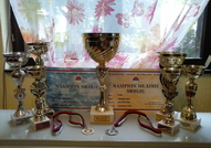 Border Collie Puppies championship origin of the E...