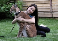 Да отгледаш рисСъпрузите Павел и Светлана от Калуг...