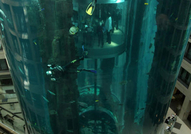 Уникално,Невероятно, Страхотно, Великолепно, това ...