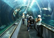 Уникално,Невероятно, Страхотно, Великолепно, това ...