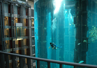 Уникално,Невероятно, Страхотно, Великолепно, това ...