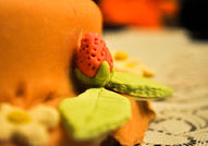 Торти за домашни любимци - Вие избирате как да изг...