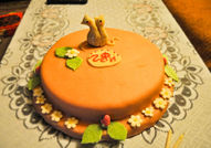 Торти за домашни любимци - Вие избирате как да изг...