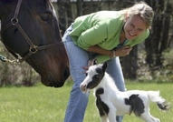 Айнщайн - най-малкия мини кон в светаТова е Пинто ...