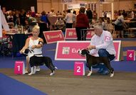 Angels Staff Limited Don King Junior Jordan StaffA...