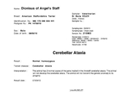 Американски Стафордширски Териер