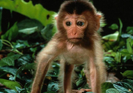 Едни сладури :)