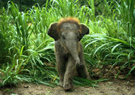 Едни сладури :)