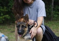 Развъдник за НОК "Lary Mak" продава женска,родена ...