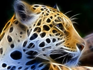 Light Jaguar