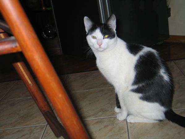 НА 27.07. през нощта от апартамент в Лагера е изля...