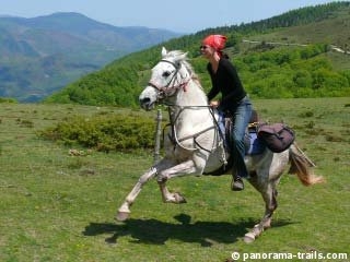 Езда - Незабравимо преживяване и любов за цял живот
