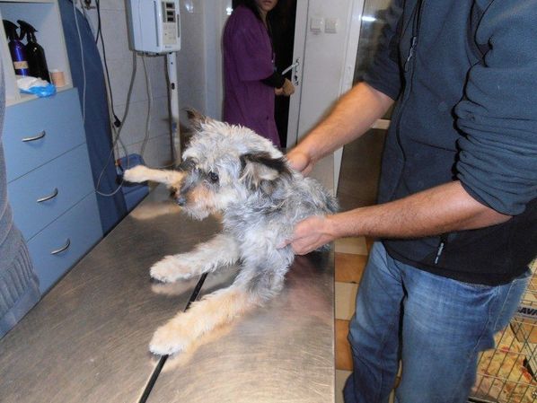 Винаги ли има утре?