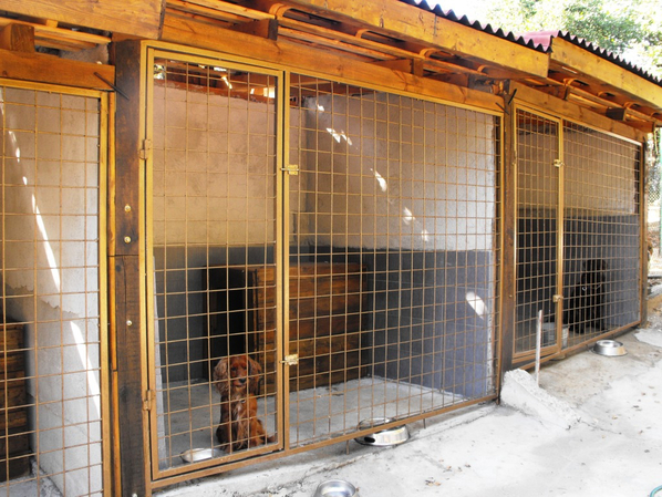 Център за обучение на кучета К-9